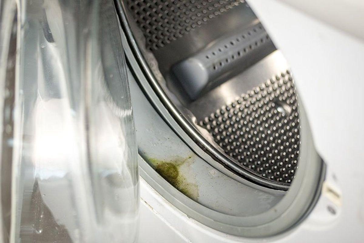 علت کپک زدن روی لاستیک ماشین لباسشویی ال جی