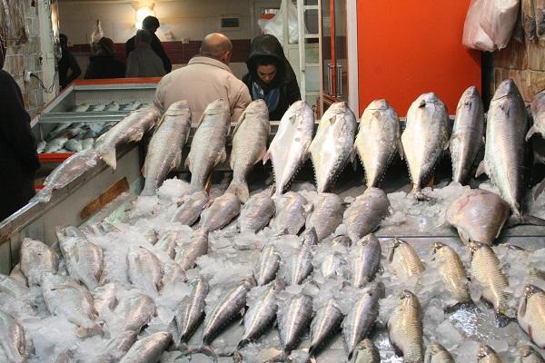 آب گل‌آلود صادرات ماهی در یاسوج